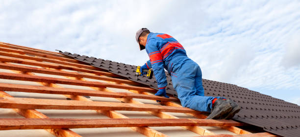 Best Roof Moss and Algae Removal  in Alamosa East, CO